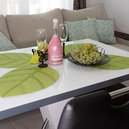 апартамент за гости ивви-2 Апартаменты *